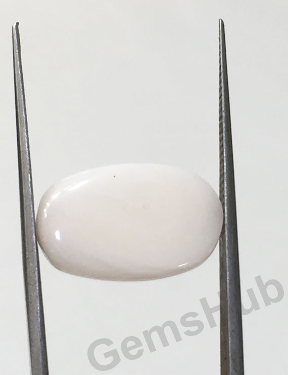7.05 ct Natural Certified  White Coral/सफ़ेद मूंगा